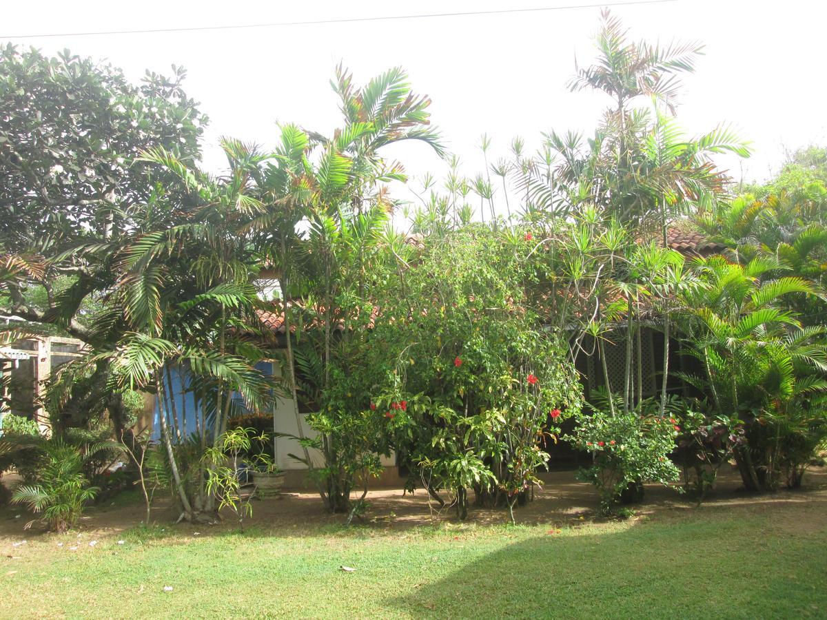 Cottage Garden Bungalows Moratuwa Luaran gambar